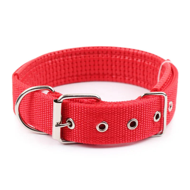 Collier Chien