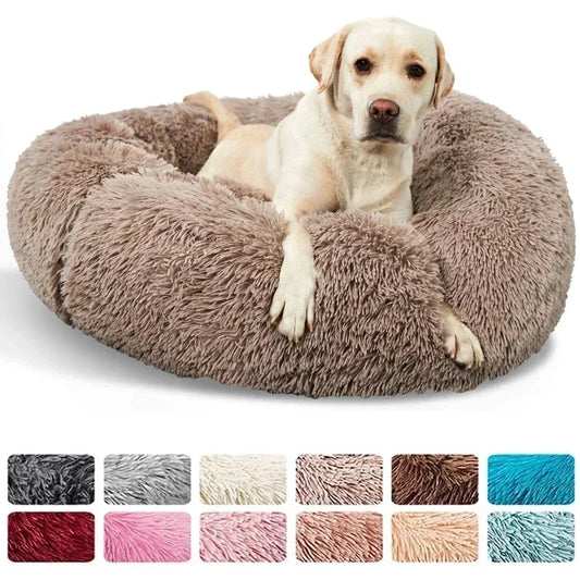 Le coussin apaisant pour chien et chat