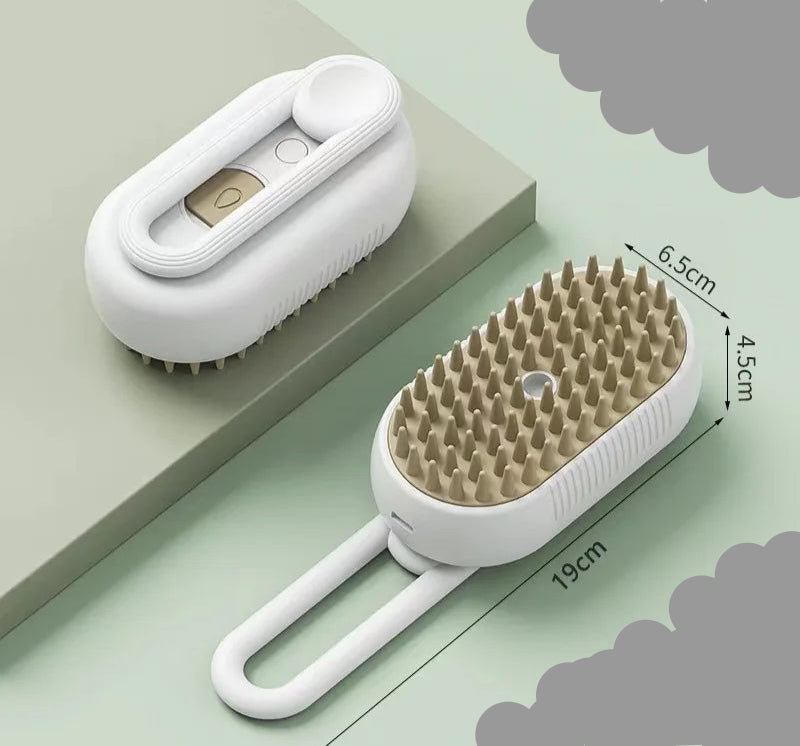 Brosse à Vapeur